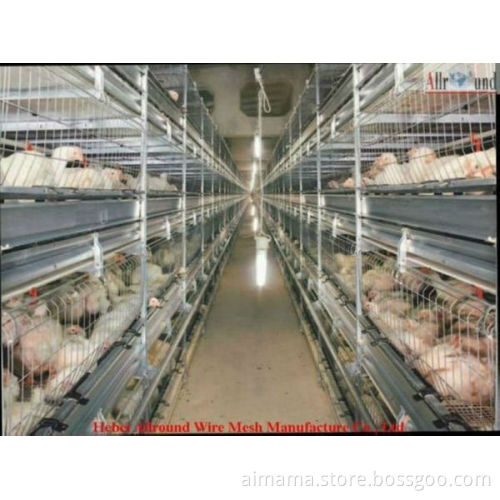 Poultry farm broiler rearing cage